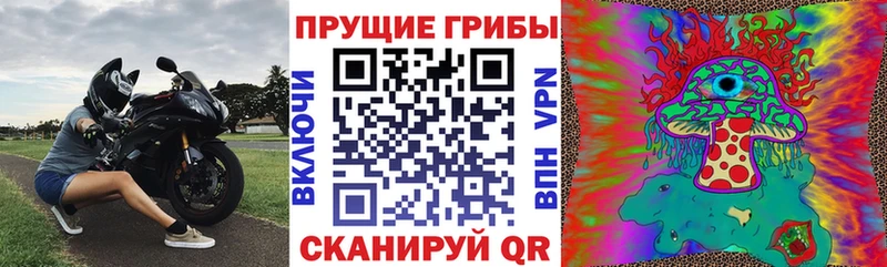 Псилоцибиновые грибы Magic Shrooms  купить наркотики сайты  Людиново 
