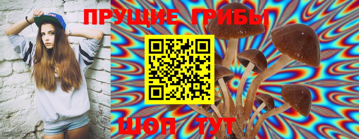 Галлюциногенные грибы Psilocybe  Людиново 