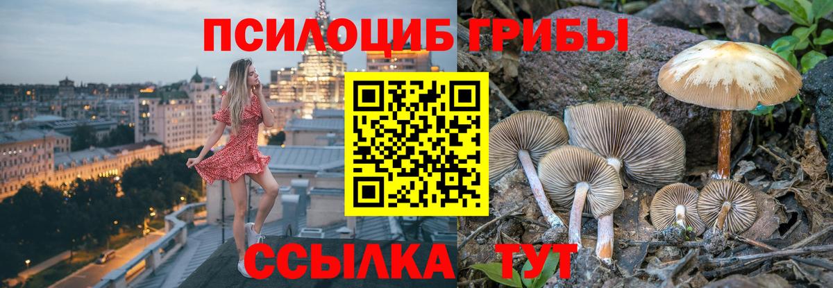 Галлюциногенные грибы Magic Shrooms  Вход с VPN  Галлюциногенные грибы прущие грибы  Людиново 