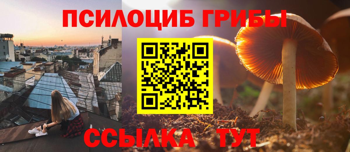 Псилоцибиновые грибы MAGIC MUSHROOMS Людиново
